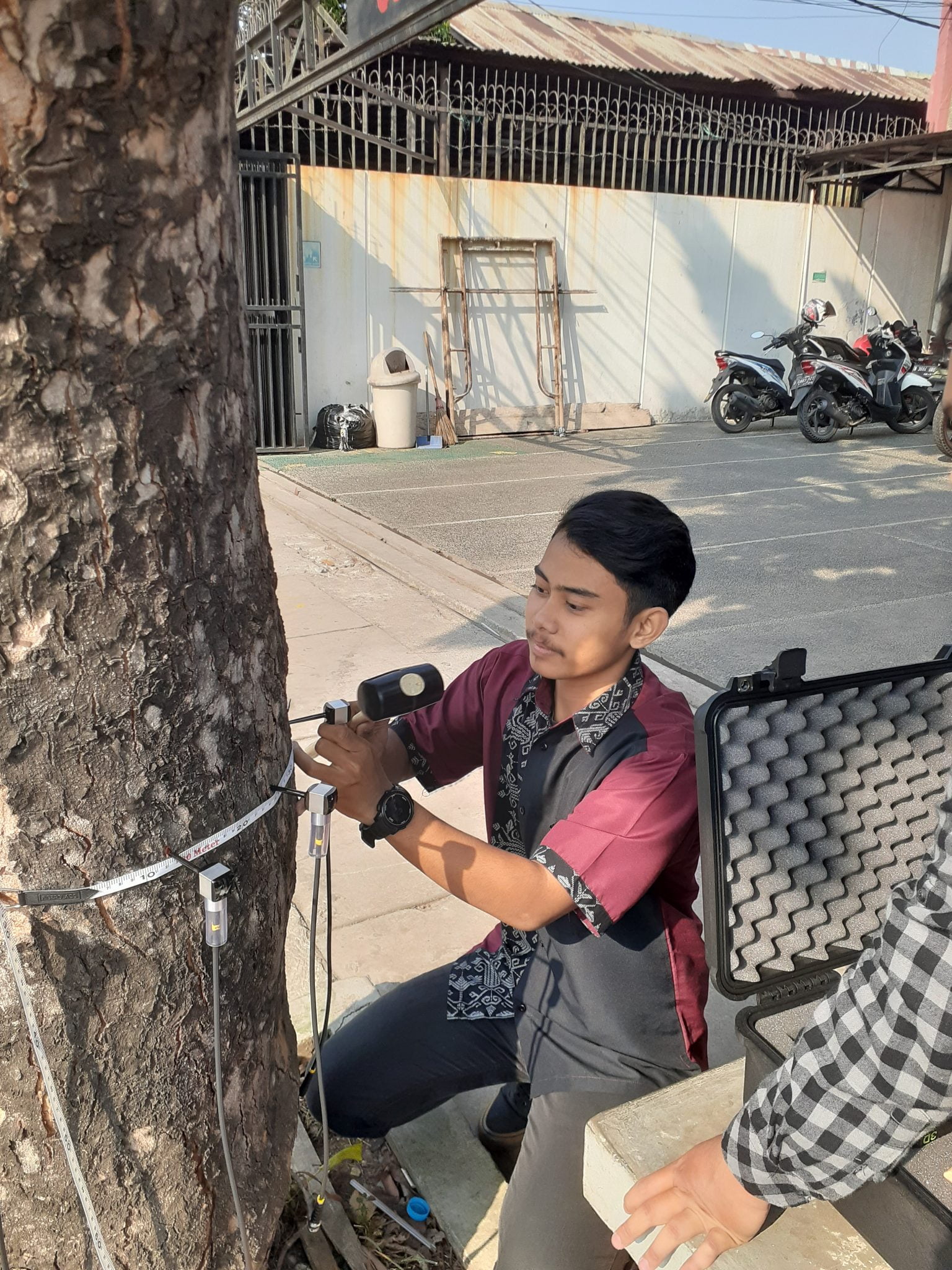 Uji Kesehatan Akar Pohon, Bagaimana Cara Kerja Nya ? – Alat Uji