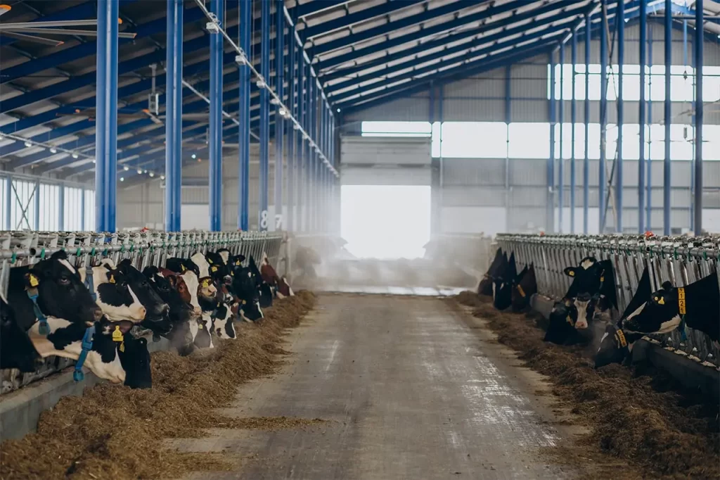 Memantau Suhu Peternakan Sapi Dengan Data Logger Suhu