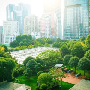 Studi Kasus: Melihat Manfaat Ruang Terbuka Hijau dalam Menghadapi Perubahan Iklim Dengan HOBO Data Logger