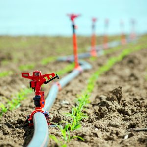 Pengukuran Air Pada Perkebunan Dengan Water Level Data Logger