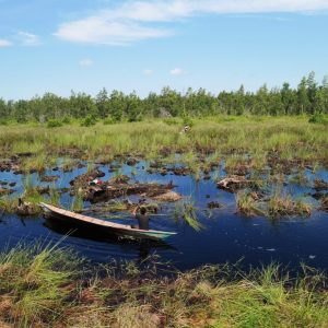 Manfaat Beserta Pengaplikasian Data Logger Untuk Lahan Gambut