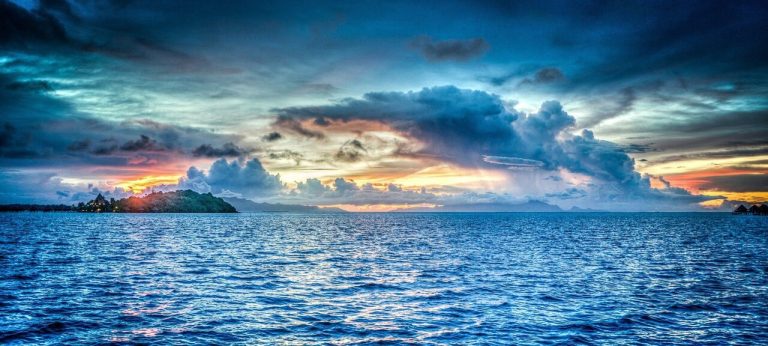Mempelajari Pengaruh Perubahan Iklim terhadap Organisme Laut Dengan Data Logger