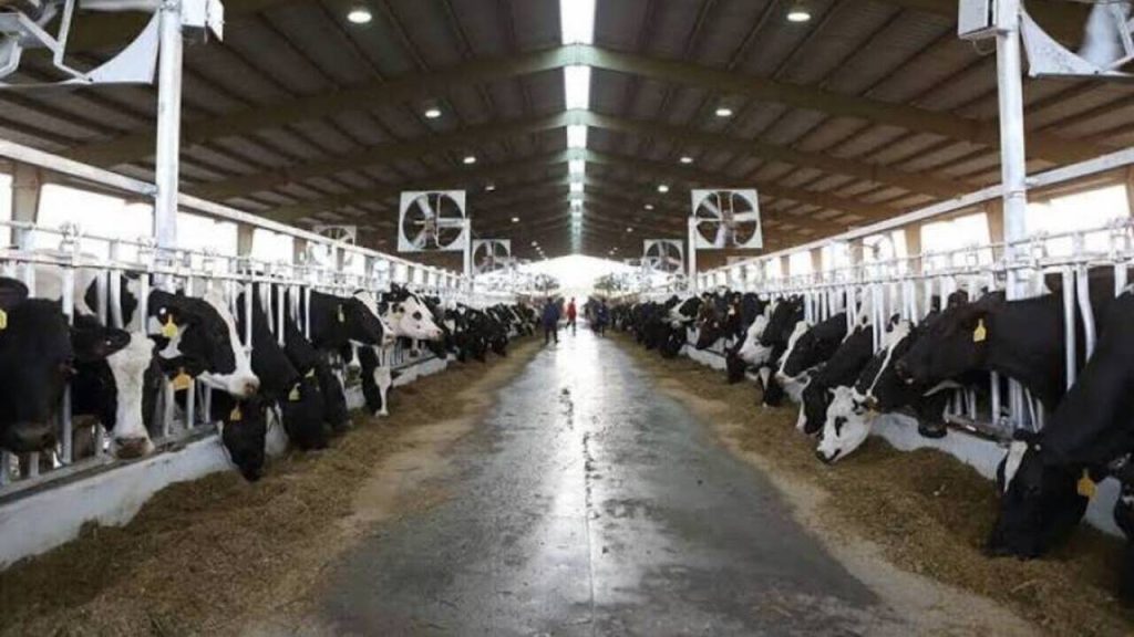 Monitoring Lingkungan Kandang Ternak Hewan Dengan Data Logger