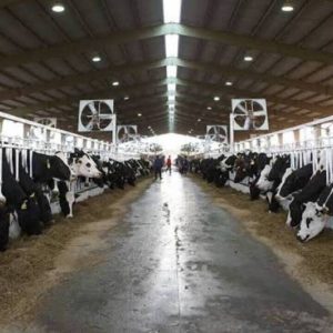 Monitoring Lingkungan Kandang Ternak Hewan Dengan Data Logger