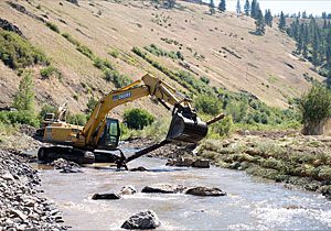 Monitoring Suhu Air Sungai Dalam Menjaga Habitat Air Tawar