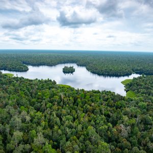 Restorasi dan Pemantauan Lahan Gambut Peran Penting Water Level