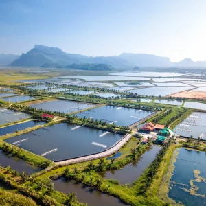 Monitoring Oksigen Terlarut untuk Penelitian Aquaculture Dengan Data Logger
