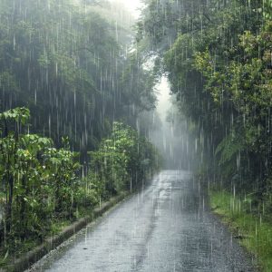 Bagaimana Weather Station Bekerja Dalam Monitoring Cuaca