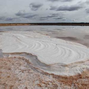 Penelitian Salinitas Air Tawar Dengan HOBO U24 Data Logger