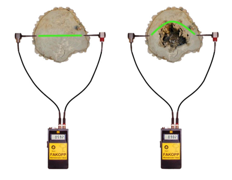 Apa Itu Microsecond Timer Dalam Pengujian Pohon? - Alat Uji