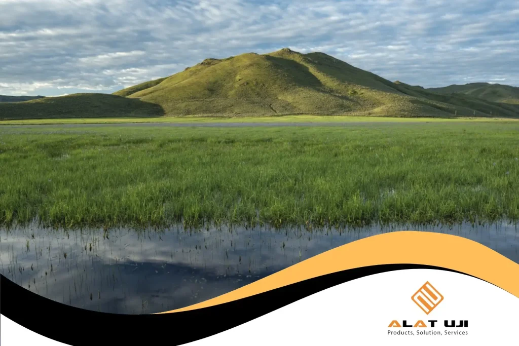 Memahami Lebih Dalam Tentang Lahan Gambut