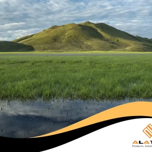 Memahami Lebih Dalam Tentang Lahan Gambut