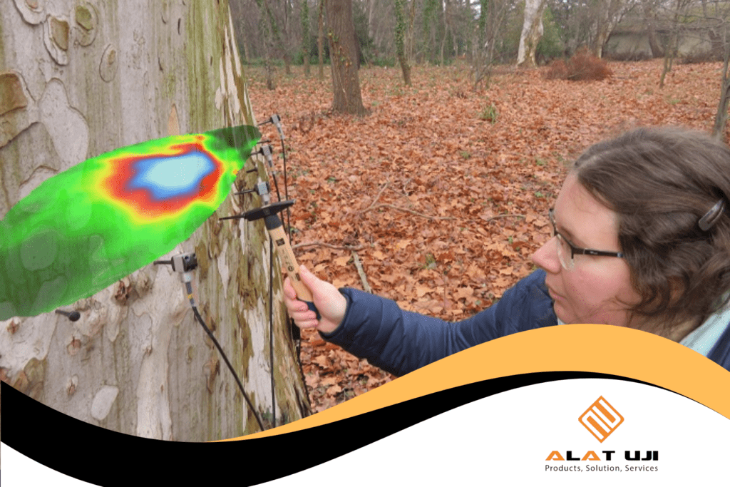 Monitoring kesehatan pohon