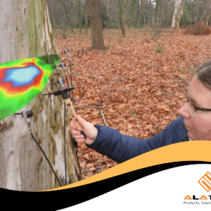 Monitoring kesehatan pohon