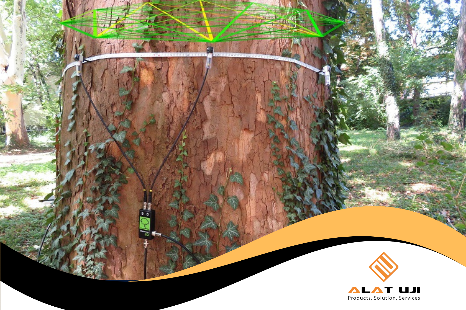 Pemantauan pohon real-time