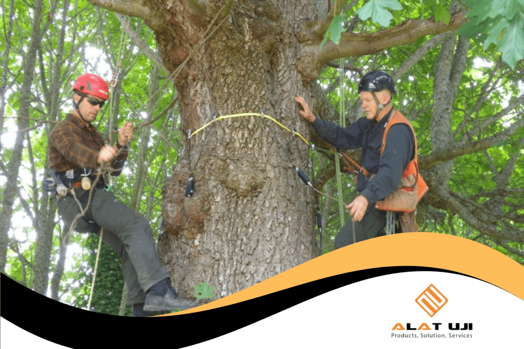 pemantauan kondisi pohon