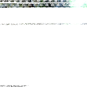 tree monitoring system sensor