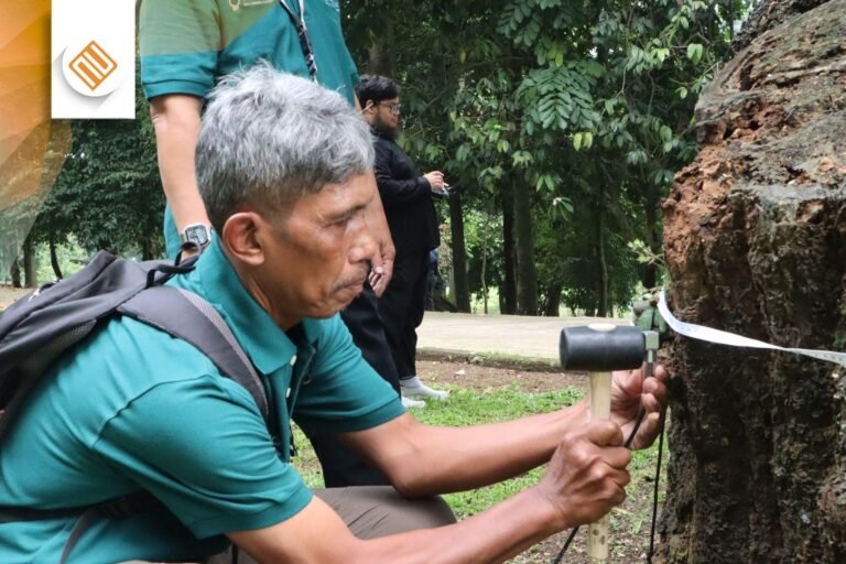 Training Dan Edukasi Product Fakoop 3D Arborsonic – BRIN