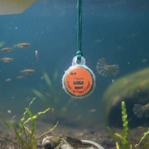 monitoring kualitas air