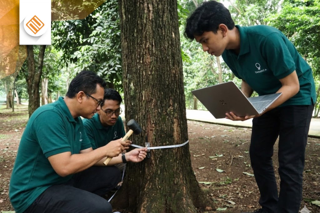 distributor wood testing equipment