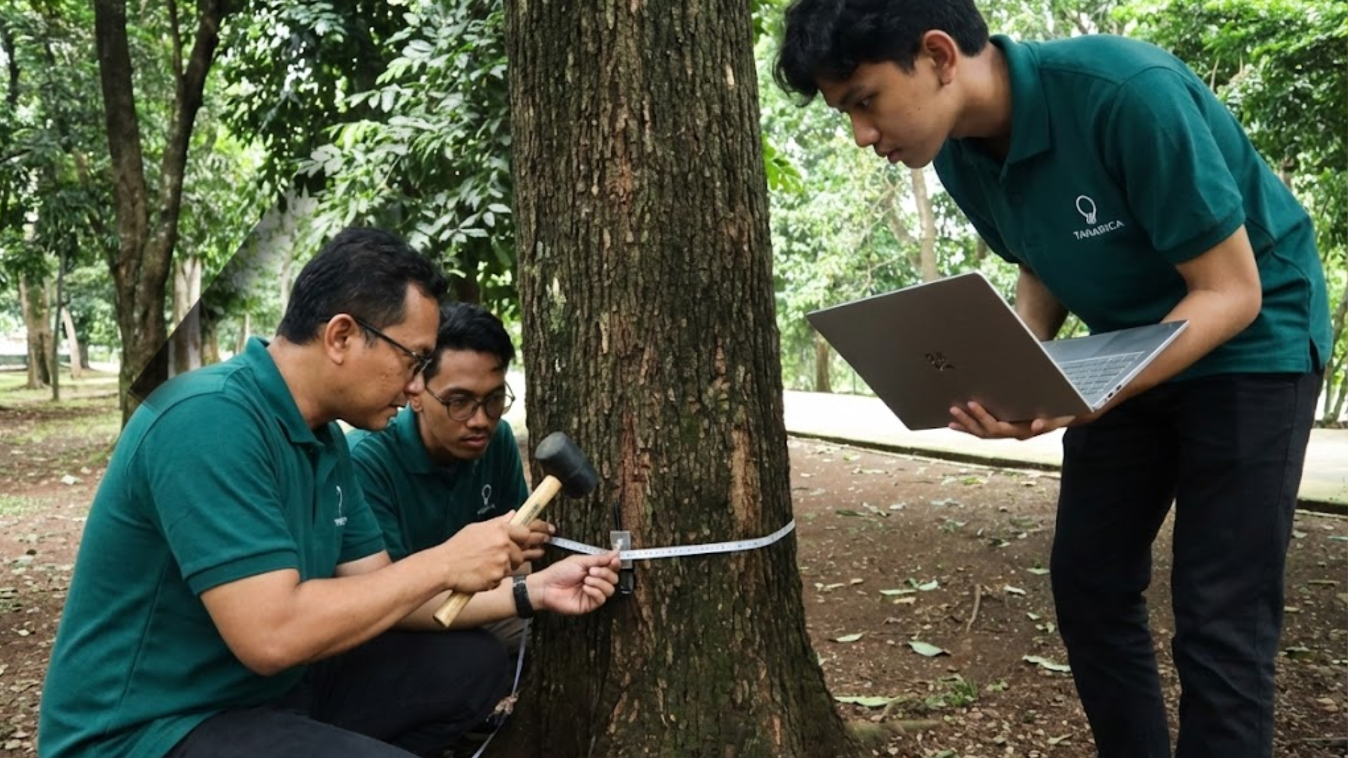 supplier alat uji kayu Indonesia