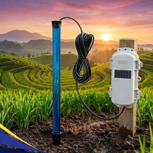 soil moisture